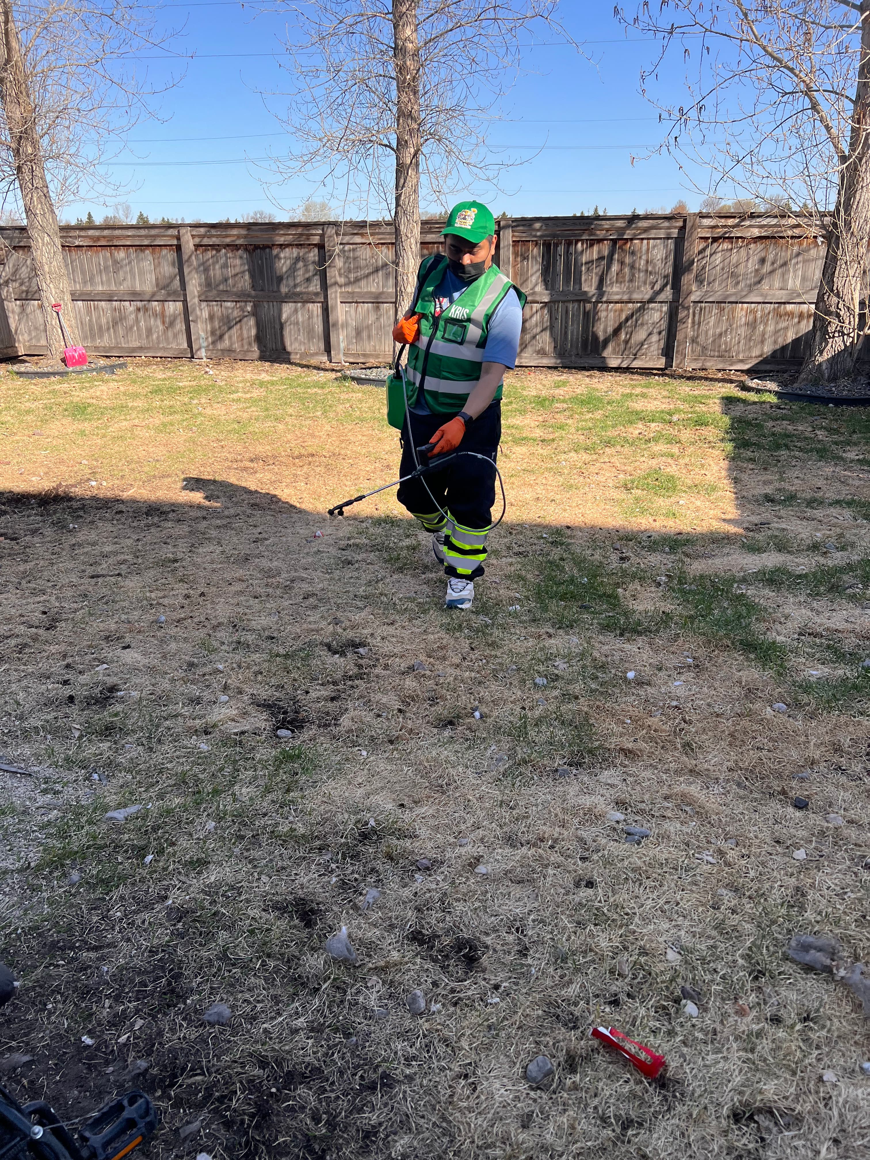 Person in green safety vest and hat spraying a lawn next to a wooden fence.
